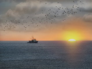 Obraz premium Fishing boat with sun just rising at sea with flock of gulls