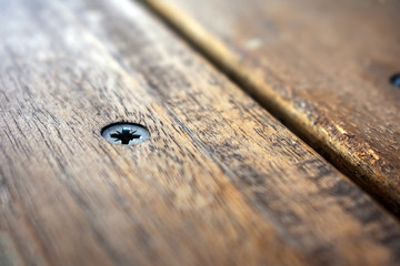 Flat Head Phillips Head Screw in Wood.