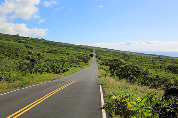 Scenic road 31 - Maui, Hawaii