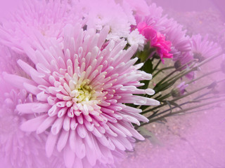 Mixed Bouquet of flowers Background