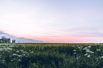 colorful sunset over the fields