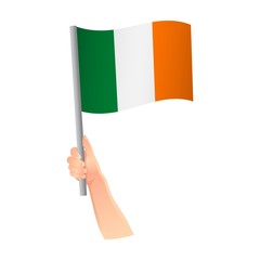 Ireland flag in hand icon