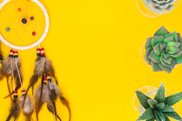 An Indian dreamcatcher with feathers lies in a woman's hand among cacti and succulents on a color bright yellow background.