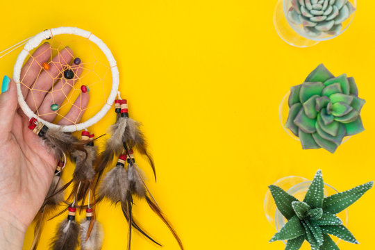 An Indian dreamcatcher with feathers lies in a woman's hand among cacti and succulents on a color bright yellow background.