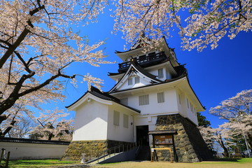 Naklejka premium 春の横手公園