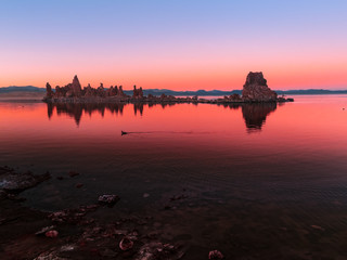 A bird floats on the mirror surface of a serene lake at vibrant sunset