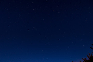 Obraz na płótnie Canvas Night starry sky, constellations of big and small bear