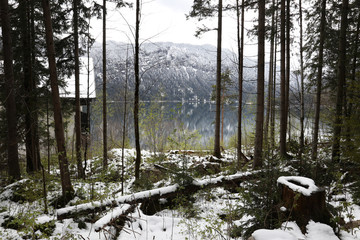 Eibsee in Bavaria, Germany