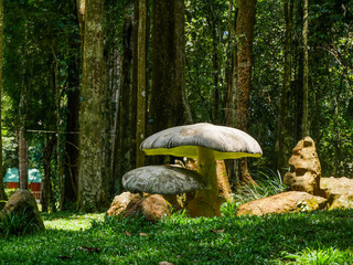 huge ornamental mushrooms in the forest