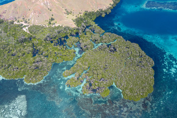 Seen from a bird's eye view, an idyllic island is surrounded by a healthy coral reef in Komodo National Park, Indonesia. This tropical area is known for its marine biodiversity as well as its dragons.