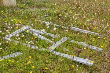 A meadow full of little yellow flowers with  some wood boards from an old fence laying on the...