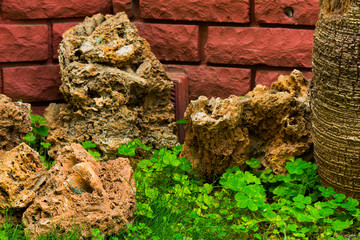 Big stones between green grass