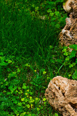 Big stones between green grass