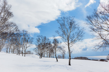 Fototapeta na wymiar 日本・北海道洞爺湖、冬の風景