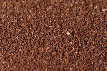 background of coffee beans