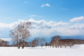 日本・北海道洞爺湖、冬の風景