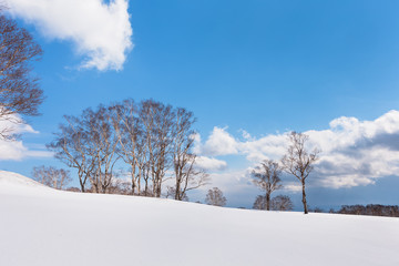 日本・北海道洞爺湖、冬の風景