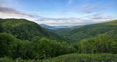 "Green Days" The Appalachians on a Spring Morning Zen Duder Blue Ridge Mountains Collection