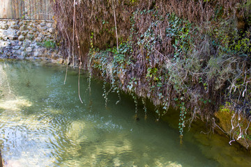 Stream flowing between rocks and dangling vines