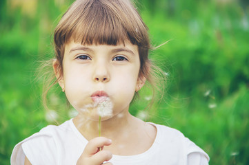 girl blowing dandelions in the air. selective focus.