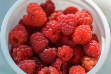 Lots of ripe red raspberries in a white plastic Cup, top view. Horizontal macro photography