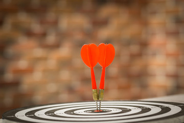 Red dart target arrow hitting on bullseye with,Target marketing and business success concept - Image