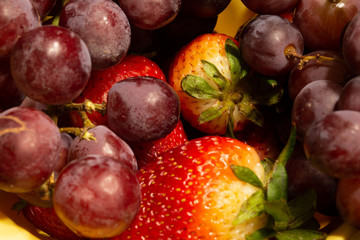 fresh fruits and vegetables