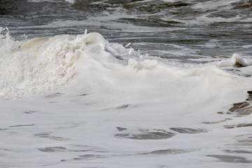 white foamy wave in ocean 