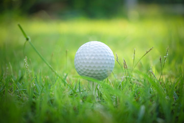 Golf ball on tee in beautiful golf course at sunset background.