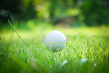 Golf ball on tee in beautiful golf course at sunset background.