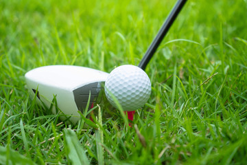 Golf ball and golf club in beautiful golf course at Thailand. Collection of golf equipment resting on green grass with green background