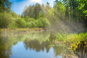 On a spring morning on a forest lake, fog and sunlight make a magnificent landscape