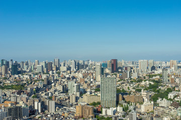Fototapeta na wymiar 高層ビルから眺める東京の風景
