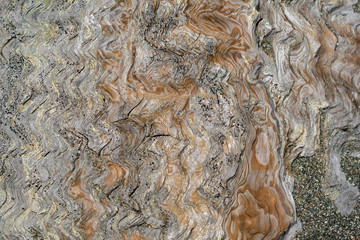 Weathered drift wood with sand background