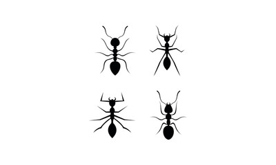 Ant set template vector
