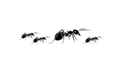 Ants family vector