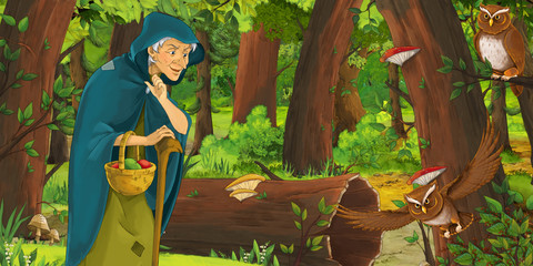 Obraz na płótnie Canvas cartoon scene with happy old woman witch sorceress in the forest encountering pair of owls flying - illustration for children