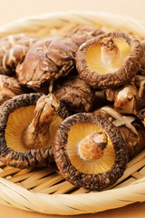 干し椎茸　Dried shiitake mushrooms