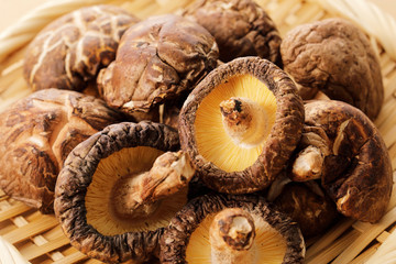 干し椎茸　Dried shiitake mushrooms