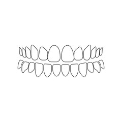 Teeth illustration outline