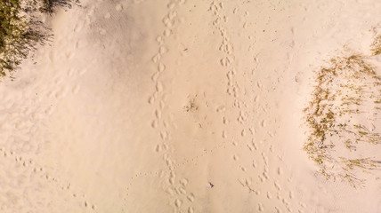 Aerial view of the sandy beach and many footprints on it on a bright sunny day