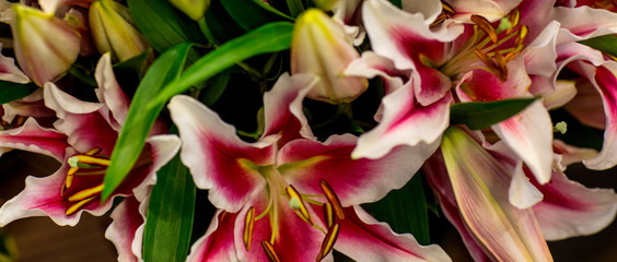 Obraz premium Beautiful flowers texture background. Nature flora background