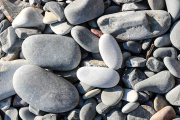 Two white pebble stones on the Black sea beach