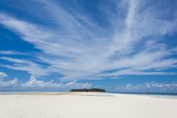 Fototapeta premium Beautiful trees on white sandy beach and blue sky in Semporna, Sabah