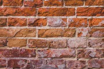 Grunge brick wall texture. Brickwork background
