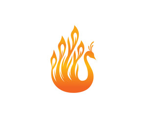 Modern Flaming Beauty Peacock Logo Illustration In Isolated White Background