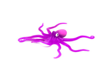Octopus rubber isolated on white background