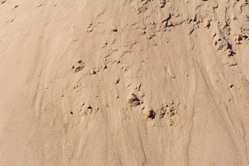 sand background,sand texture with lumps