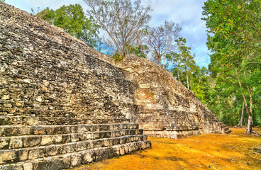 Obraz premium Ruins of a Mayan pyramid at Balamku in Mexico
