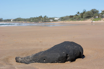 Large black basalt rock on open sandy beach